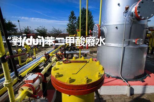 “對(duì)苯二甲酸廢水處理，綠色創(chuàng)新引領(lǐng)環(huán)保新篇章”